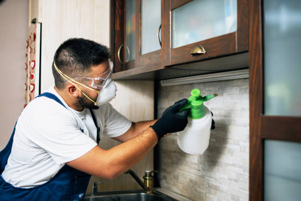 Best Wasp Removal Services  in West Blocton, AL