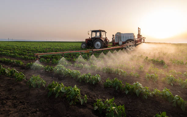 Pest Prevention Services in West Blocton, AL