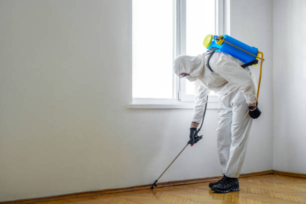 Best Bed Bug Extermination  in West Blocton, AL