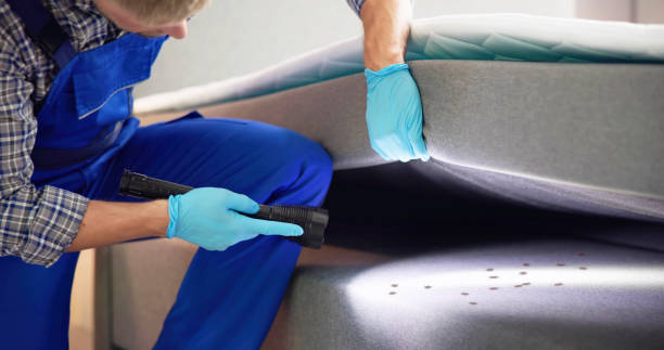 Best Mosquito Control Services  in West Blocton, AL