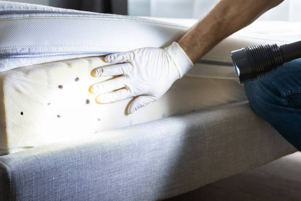 Best Local Pest Control Services  in West Blocton, AL