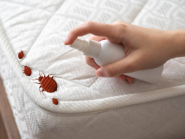 Best Affordable Pest Control Services  in West Blocton, AL