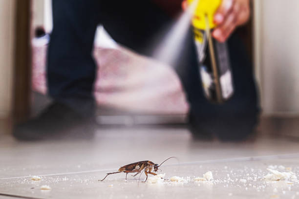 Wasp Removal Services in West Blocton, AL