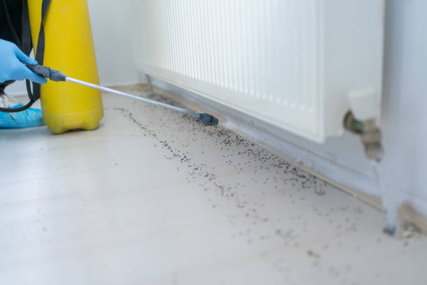 Best Pest Control Near Me  in West Blocton, AL