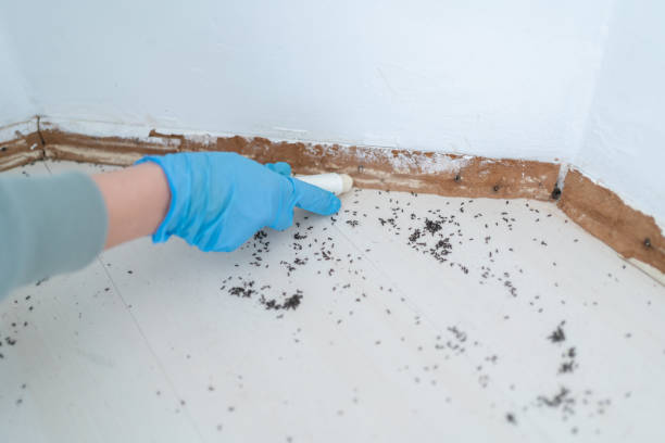 Best Cockroach Control Services  in West Blocton, AL