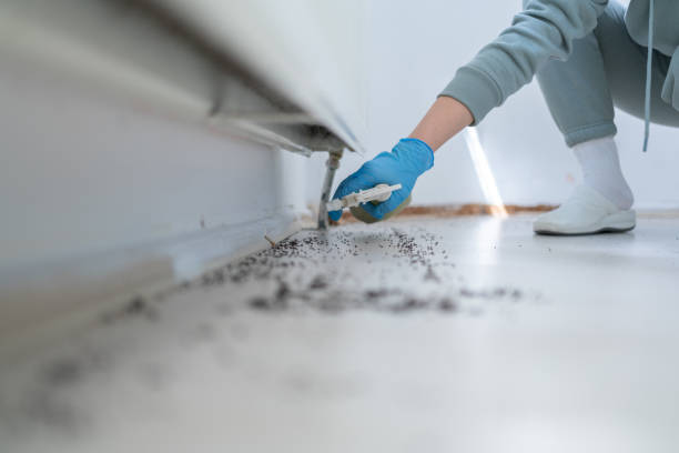 Best Wildlife Control Services  in West Blocton, AL