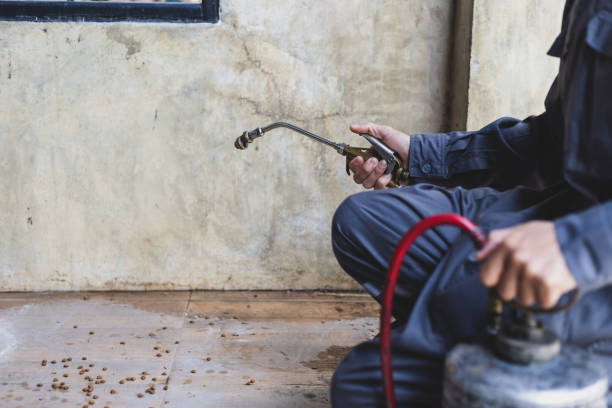 Best Emergency Pest Control  in West Blocton, AL