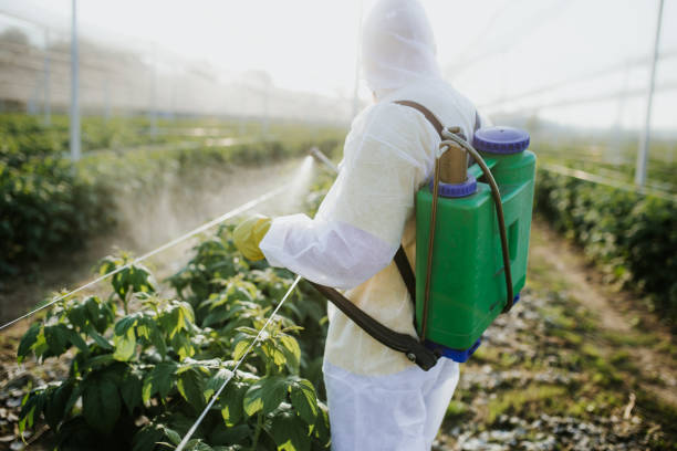 Best Best Pest Control Near Me  in West Blocton, AL